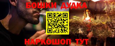 МДПВ Будённовск