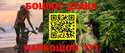 МДПВ Будённовск