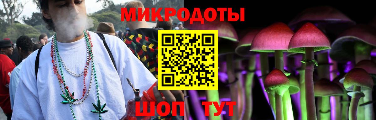 Псилоцибиновые грибы Psilocybe Узловая
